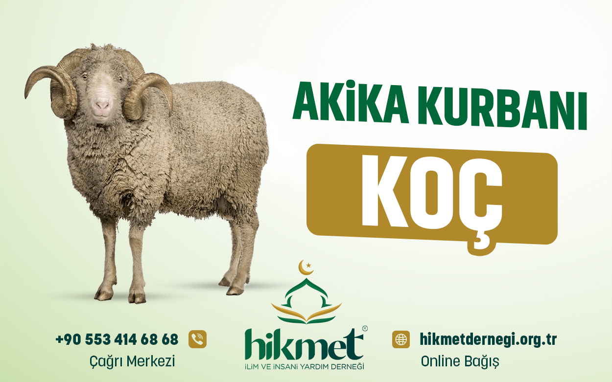 Akika Kurbanı  (Koç)