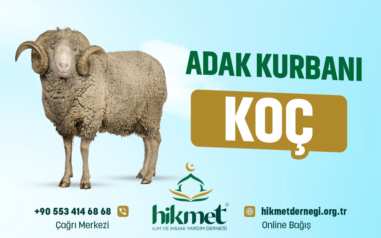 Adak Kurbanı (Koç)
