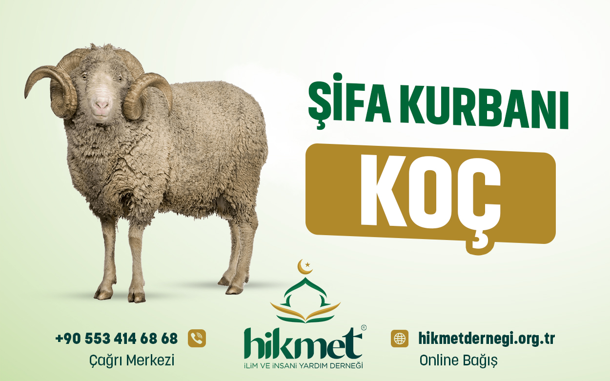 Şifa Kurbanı  (Koç)