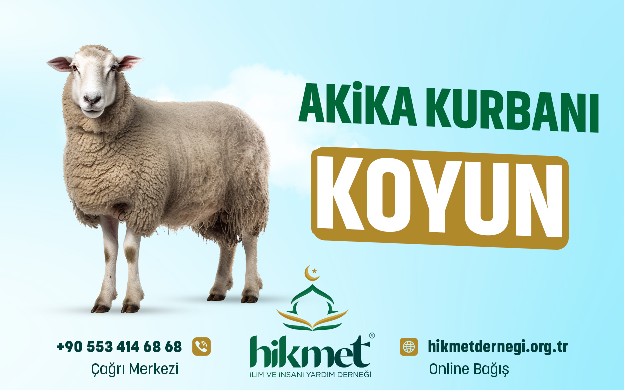 Akika Kurbanı  (Koyun)