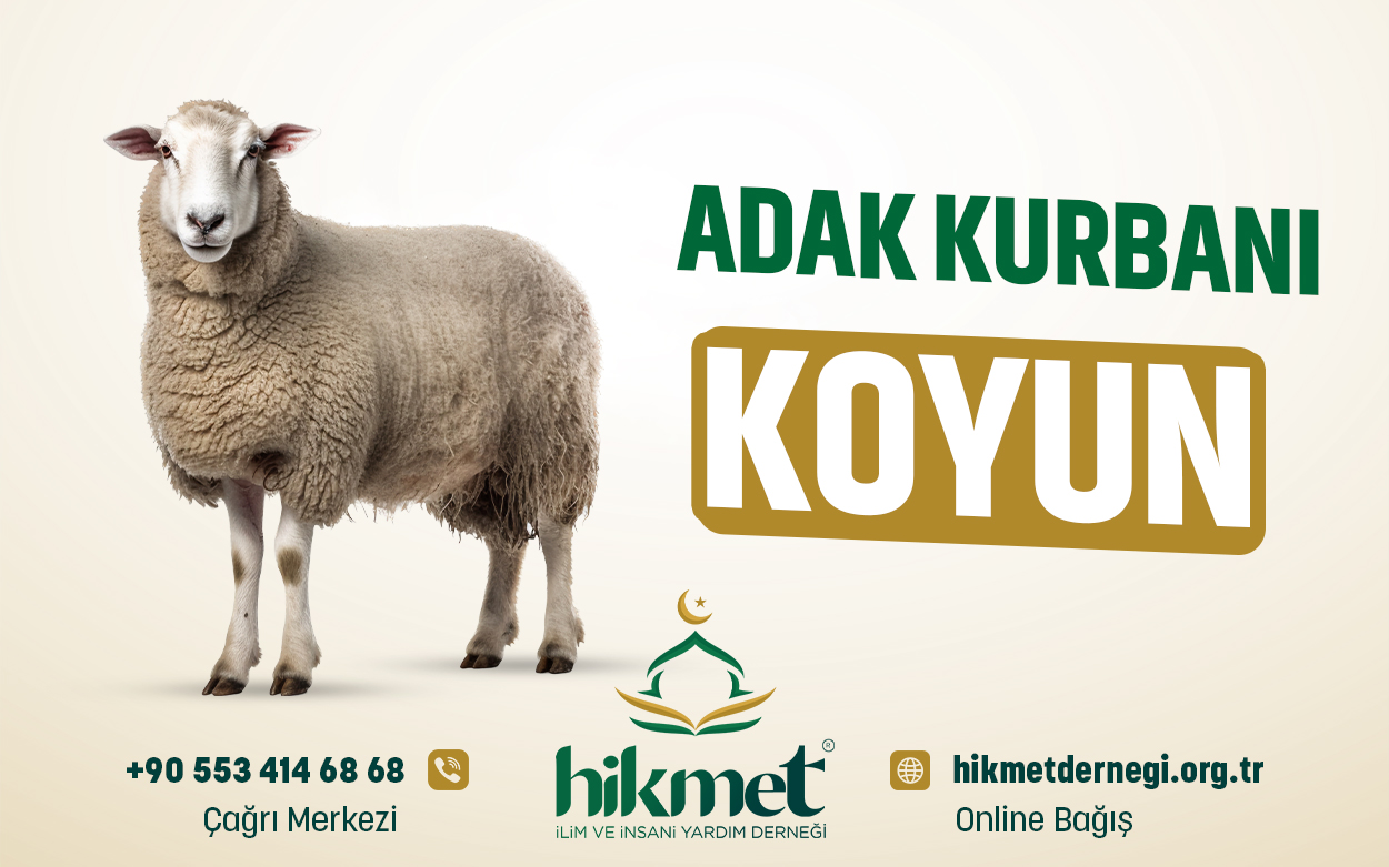 Adak Kurbanı  (Koyun)