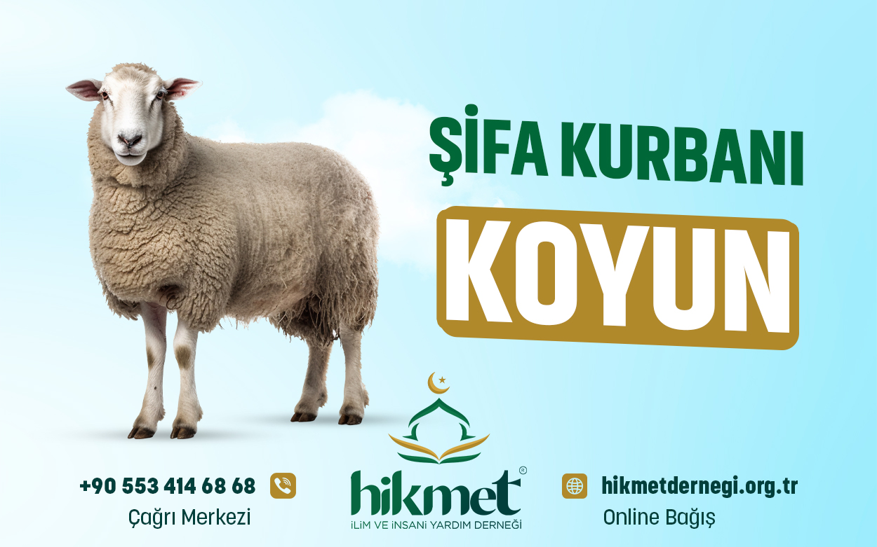 Şifa Kurbanı (Koyun)