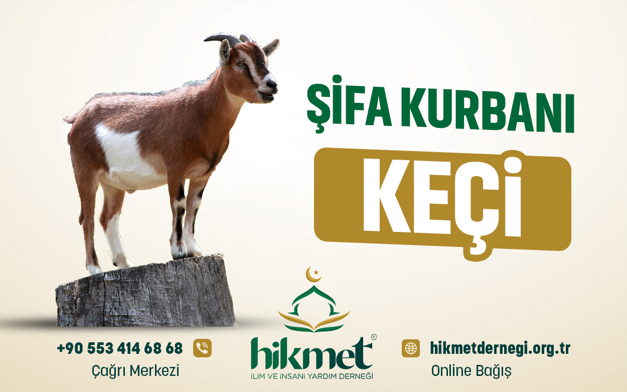 Şifa Kurbanı (Keçi)